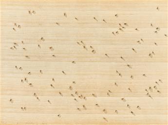 ED RUSCHA Insects.